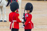 The Colonel's Review 2014.
Horse Guards Parade, Westminster,
London,

United Kingdom,
on 07 June 2014 at 11:19, image #387