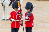 The Colonel's Review 2014.
Horse Guards Parade, Westminster,
London,

United Kingdom,
on 07 June 2014 at 11:19, image #389
