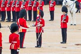 The Colonel's Review 2014.
Horse Guards Parade, Westminster,
London,

United Kingdom,
on 07 June 2014 at 11:19, image #391