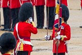 The Colonel's Review 2014.
Horse Guards Parade, Westminster,
London,

United Kingdom,
on 07 June 2014 at 11:19, image #393