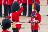 The Colonel's Review 2014.
Horse Guards Parade, Westminster,
London,

United Kingdom,
on 07 June 2014 at 11:19, image #394