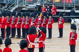The Colonel's Review 2014.
Horse Guards Parade, Westminster,
London,

United Kingdom,
on 07 June 2014 at 11:19, image #397