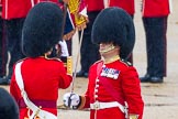 The Colonel's Review 2014.
Horse Guards Parade, Westminster,
London,

United Kingdom,
on 07 June 2014 at 11:19, image #398
