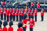 The Colonel's Review 2014.
Horse Guards Parade, Westminster,
London,

United Kingdom,
on 07 June 2014 at 11:19, image #399
