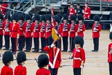 The Colonel's Review 2014.
Horse Guards Parade, Westminster,
London,

United Kingdom,
on 07 June 2014 at 11:19, image #400
