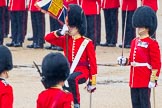 The Colonel's Review 2014.
Horse Guards Parade, Westminster,
London,

United Kingdom,
on 07 June 2014 at 11:19, image #401