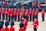 The Colonel's Review 2014.
Horse Guards Parade, Westminster,
London,

United Kingdom,
on 07 June 2014 at 11:20, image #402