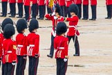 The Colonel's Review 2014.
Horse Guards Parade, Westminster,
London,

United Kingdom,
on 07 June 2014 at 11:20, image #406