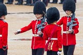 The Colonel's Review 2014.
Horse Guards Parade, Westminster,
London,

United Kingdom,
on 07 June 2014 at 11:20, image #409