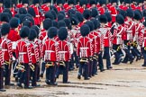 The Colonel's Review 2014.
Horse Guards Parade, Westminster,
London,

United Kingdom,
on 07 June 2014 at 11:21, image #410