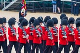 The Colonel's Review 2014.
Horse Guards Parade, Westminster,
London,

United Kingdom,
on 07 June 2014 at 11:21, image #412