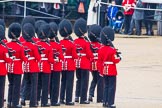 The Colonel's Review 2014.
Horse Guards Parade, Westminster,
London,

United Kingdom,
on 07 June 2014 at 11:21, image #413
