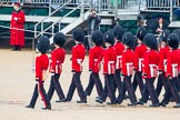 The Colonel's Review 2014.
Horse Guards Parade, Westminster,
London,

United Kingdom,
on 07 June 2014 at 11:22, image #417