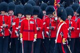 The Colonel's Review 2014.
Horse Guards Parade, Westminster,
London,

United Kingdom,
on 07 June 2014 at 11:25, image #442