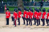 The Colonel's Review 2014.
Horse Guards Parade, Westminster,
London,

United Kingdom,
on 07 June 2014 at 11:26, image #446