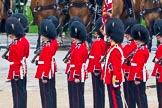The Colonel's Review 2014.
Horse Guards Parade, Westminster,
London,

United Kingdom,
on 07 June 2014 at 11:27, image #448