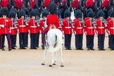The Colonel's Review 2014.
Horse Guards Parade, Westminster,
London,

United Kingdom,
on 07 June 2014 at 11:27, image #451