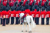 The Colonel's Review 2014.
Horse Guards Parade, Westminster,
London,

United Kingdom,
on 07 June 2014 at 11:28, image #452