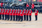 The Colonel's Review 2014.
Horse Guards Parade, Westminster,
London,

United Kingdom,
on 07 June 2014 at 11:28, image #453
