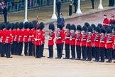 The Colonel's Review 2014.
Horse Guards Parade, Westminster,
London,

United Kingdom,
on 07 June 2014 at 11:28, image #454