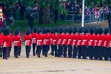 The Colonel's Review 2014.
Horse Guards Parade, Westminster,
London,

United Kingdom,
on 07 June 2014 at 11:28, image #456