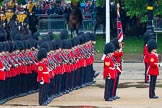 The Colonel's Review 2014.
Horse Guards Parade, Westminster,
London,

United Kingdom,
on 07 June 2014 at 11:29, image #461