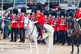 The Colonel's Review 2014.
Horse Guards Parade, Westminster,
London,

United Kingdom,
on 07 June 2014 at 11:32, image #467