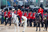 The Colonel's Review 2014.
Horse Guards Parade, Westminster,
London,

United Kingdom,
on 07 June 2014 at 11:32, image #468