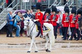 The Colonel's Review 2014.
Horse Guards Parade, Westminster,
London,

United Kingdom,
on 07 June 2014 at 11:32, image #469