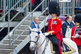 The Colonel's Review 2014.
Horse Guards Parade, Westminster,
London,

United Kingdom,
on 07 June 2014 at 11:32, image #470