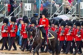 The Colonel's Review 2014.
Horse Guards Parade, Westminster,
London,

United Kingdom,
on 07 June 2014 at 11:32, image #471