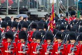 The Colonel's Review 2014.
Horse Guards Parade, Westminster,
London,

United Kingdom,
on 07 June 2014 at 11:32, image #473