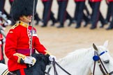The Colonel's Review 2014.
Horse Guards Parade, Westminster,
London,

United Kingdom,
on 07 June 2014 at 11:33, image #477