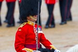 The Colonel's Review 2014.
Horse Guards Parade, Westminster,
London,

United Kingdom,
on 07 June 2014 at 11:33, image #478