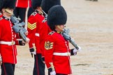 The Colonel's Review 2014.
Horse Guards Parade, Westminster,
London,

United Kingdom,
on 07 June 2014 at 11:33, image #479