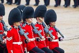 The Colonel's Review 2014.
Horse Guards Parade, Westminster,
London,

United Kingdom,
on 07 June 2014 at 11:33, image #482