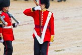 The Colonel's Review 2014.
Horse Guards Parade, Westminster,
London,

United Kingdom,
on 07 June 2014 at 11:33, image #484