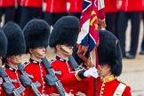 The Colonel's Review 2014.
Horse Guards Parade, Westminster,
London,

United Kingdom,
on 07 June 2014 at 11:34, image #487