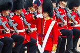 The Colonel's Review 2014.
Horse Guards Parade, Westminster,
London,

United Kingdom,
on 07 June 2014 at 11:34, image #488