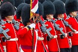 The Colonel's Review 2014.
Horse Guards Parade, Westminster,
London,

United Kingdom,
on 07 June 2014 at 11:34, image #490
