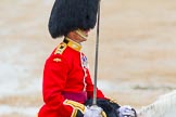 The Colonel's Review 2014.
Horse Guards Parade, Westminster,
London,

United Kingdom,
on 07 June 2014 at 11:34, image #491