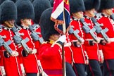 The Colonel's Review 2014.
Horse Guards Parade, Westminster,
London,

United Kingdom,
on 07 June 2014 at 11:34, image #494