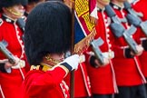 The Colonel's Review 2014.
Horse Guards Parade, Westminster,
London,

United Kingdom,
on 07 June 2014 at 11:34, image #495