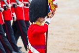 The Colonel's Review 2014.
Horse Guards Parade, Westminster,
London,

United Kingdom,
on 07 June 2014 at 11:35, image #498