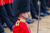 The Colonel's Review 2014.
Horse Guards Parade, Westminster,
London,

United Kingdom,
on 07 June 2014 at 11:35, image #499