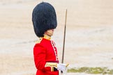 The Colonel's Review 2014.
Horse Guards Parade, Westminster,
London,

United Kingdom,
on 07 June 2014 at 11:35, image #511