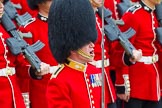 The Colonel's Review 2014.
Horse Guards Parade, Westminster,
London,

United Kingdom,
on 07 June 2014 at 11:36, image #514