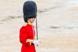The Colonel's Review 2014.
Horse Guards Parade, Westminster,
London,

United Kingdom,
on 07 June 2014 at 11:36, image #516