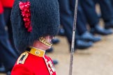 The Colonel's Review 2014.
Horse Guards Parade, Westminster,
London,

United Kingdom,
on 07 June 2014 at 11:37, image #523