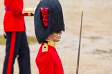 The Colonel's Review 2014.
Horse Guards Parade, Westminster,
London,

United Kingdom,
on 07 June 2014 at 11:37, image #524